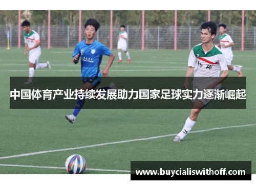 中国体育产业持续发展助力国家足球实力逐渐崛起